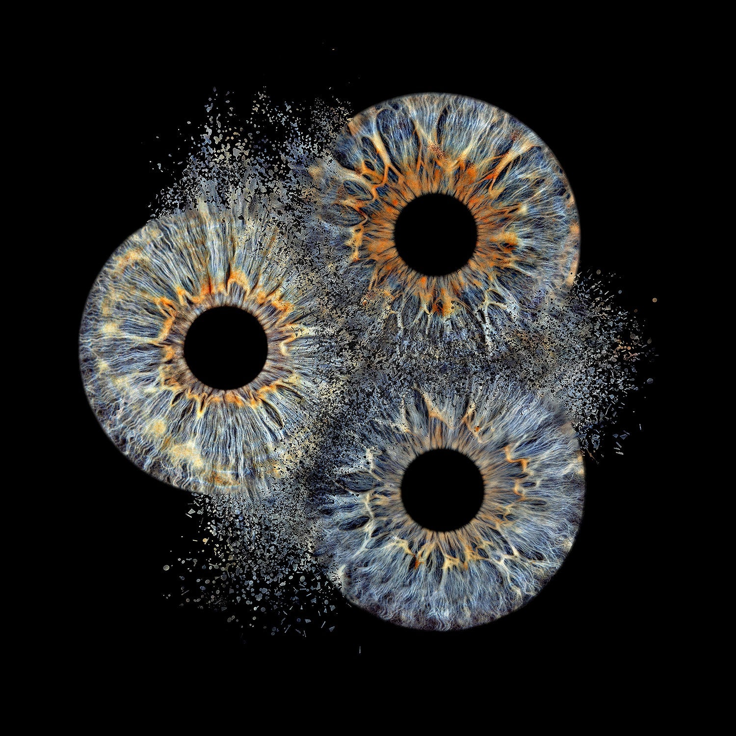 Family Explosion Max. 6 Eyes