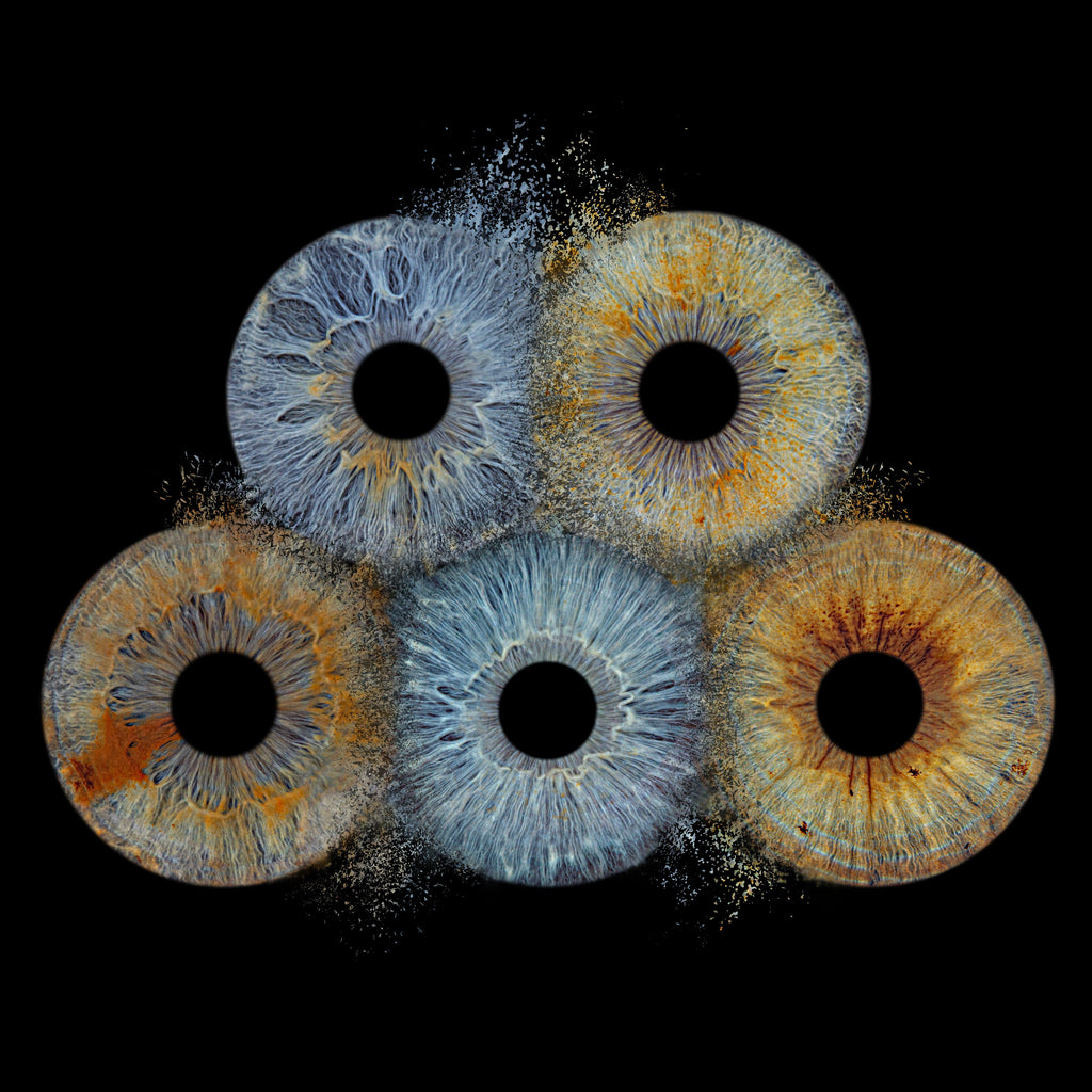 Family Explosion Max. 6 Eyes