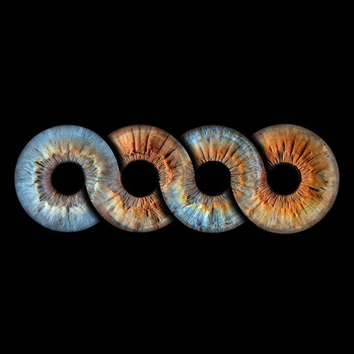 Family Infinite Max. 6 Eyes