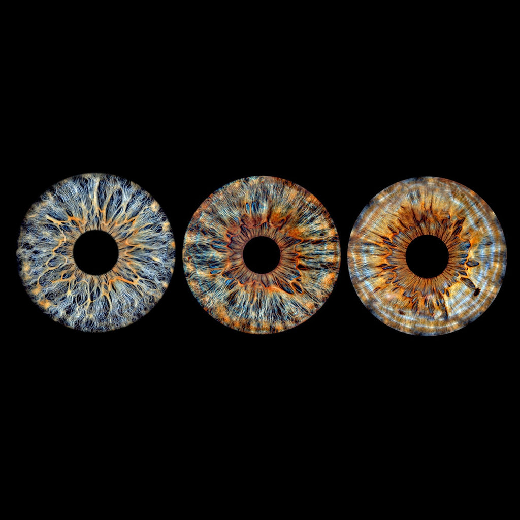 Family Neutral Max. 6 Eyes